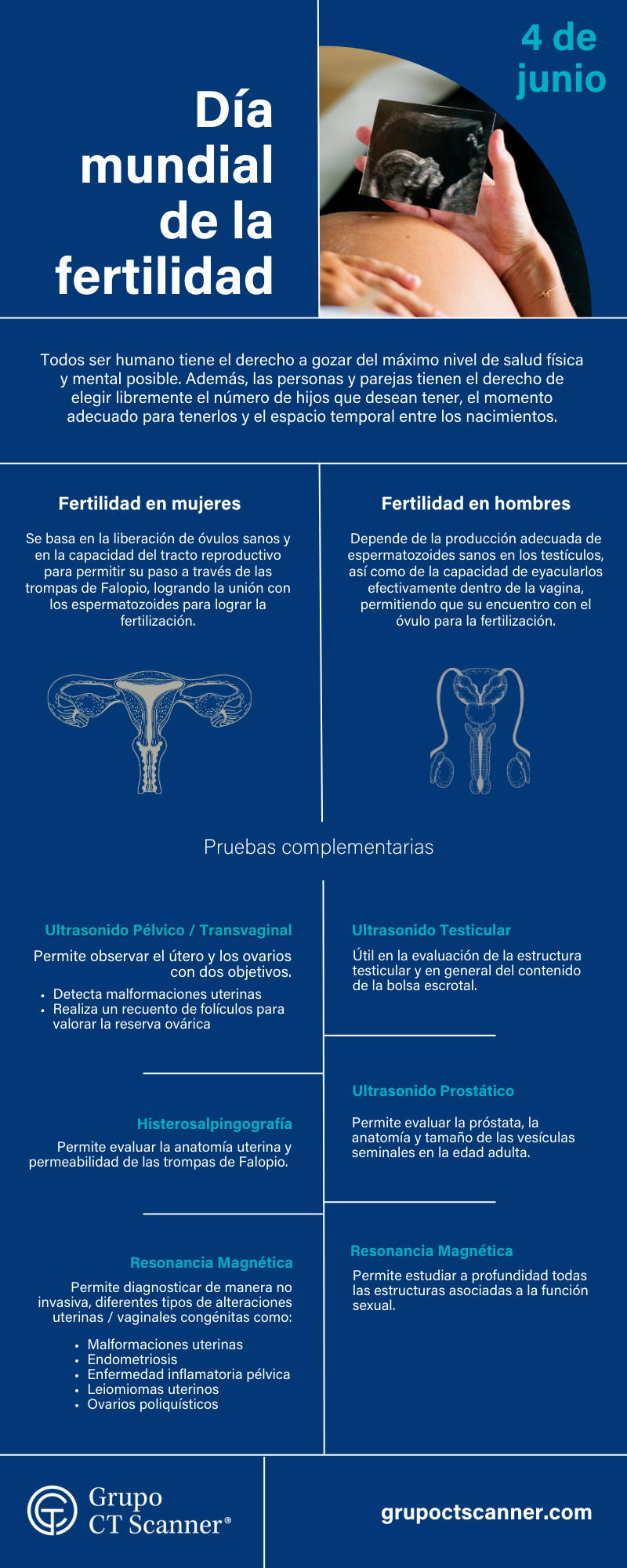 Infografía Fertilidad